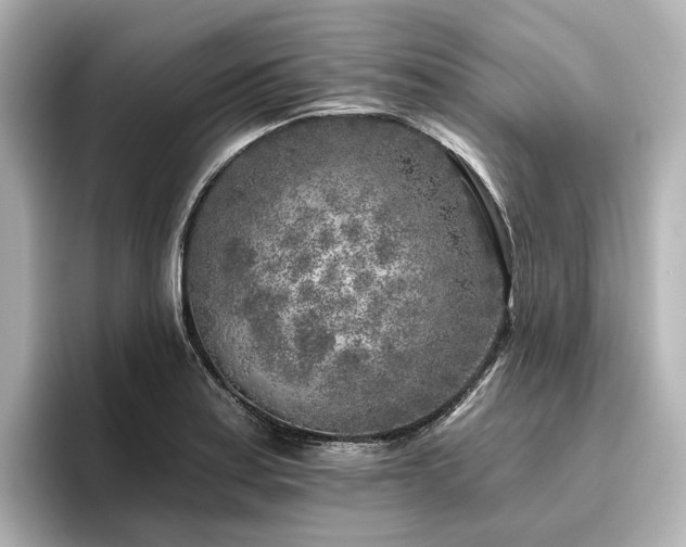 X0000096451179200801241412