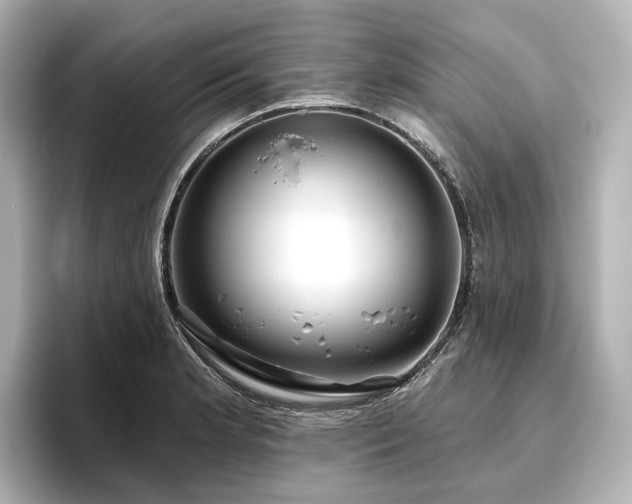 X0000096451181200801241412