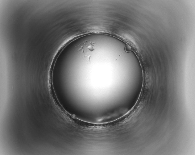 X0000096451182200801241412