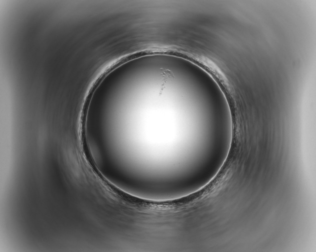 X0000096451183200801241412