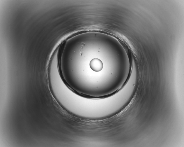 X0000096451184200801241412