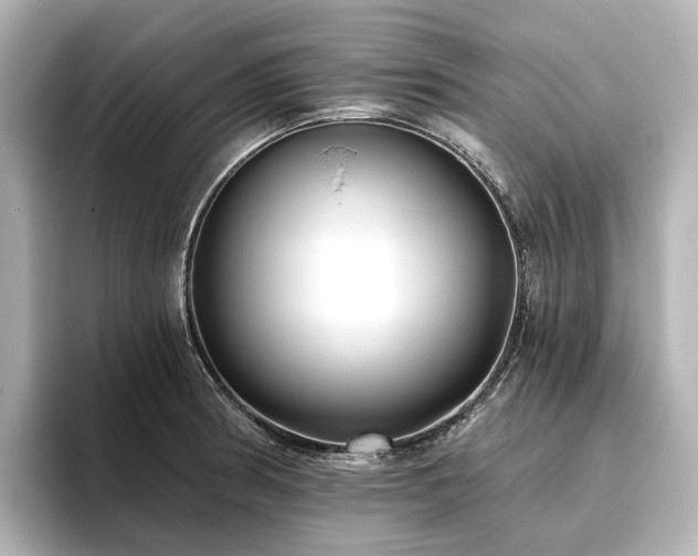 X0000096451186200801241412