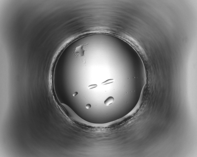 X0000096451188200801241412