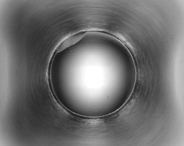 X0000096451189200801241412