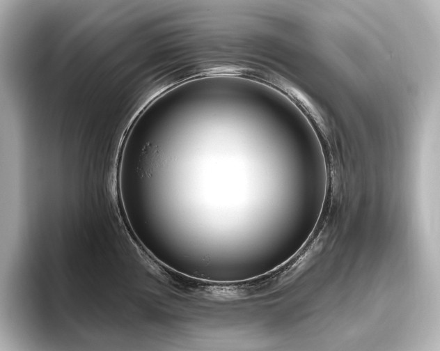 X0000096451194200801241412