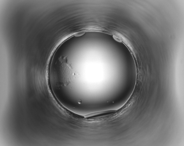 X0000096451195200801241412