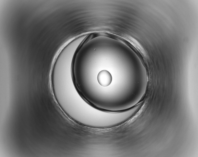 X0000096451196200801241412