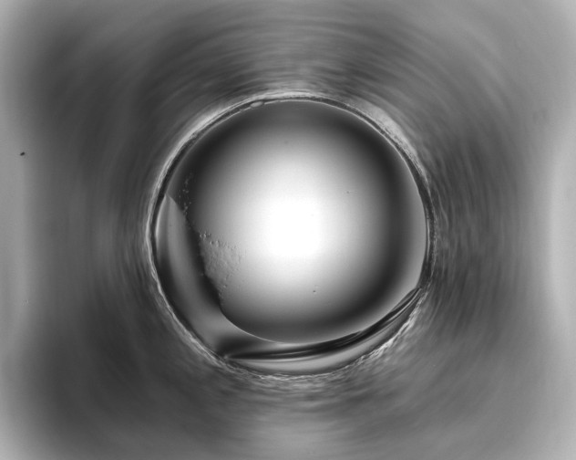 X0000096451197200801241412