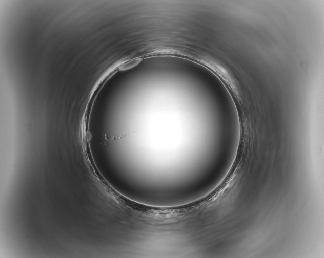 X0000096451198200801241412
