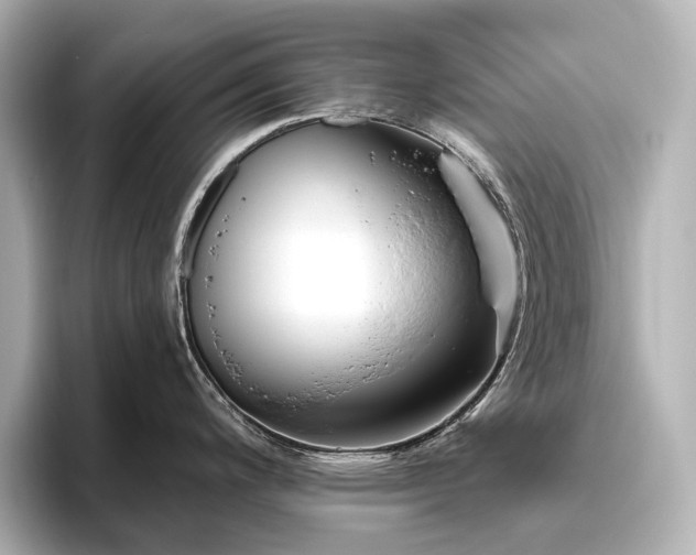 X0000096451200200801241412