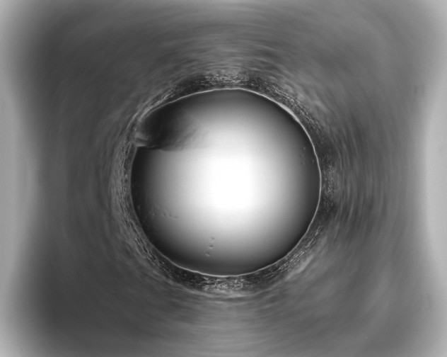 X0000096451201200801241412