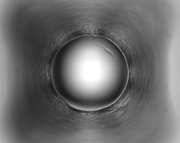 X0000096451202200801241412