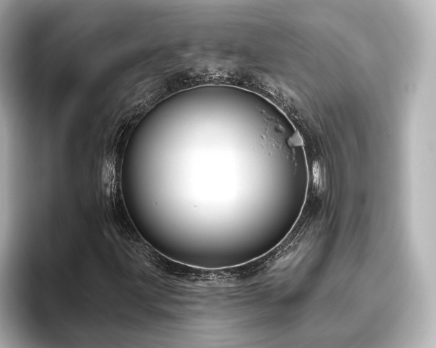 X0000096451203200801241412