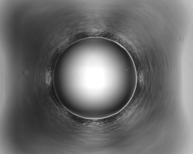 X0000096451204200801241412