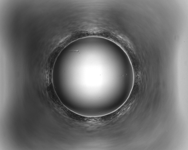 X0000096451205200801241412