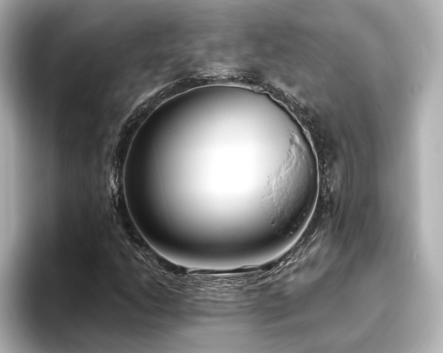 X0000096451206200801241412