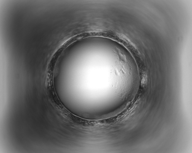 X0000096451208200801241412