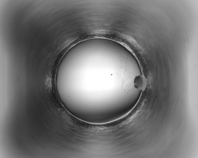 X0000096451209200801241412
