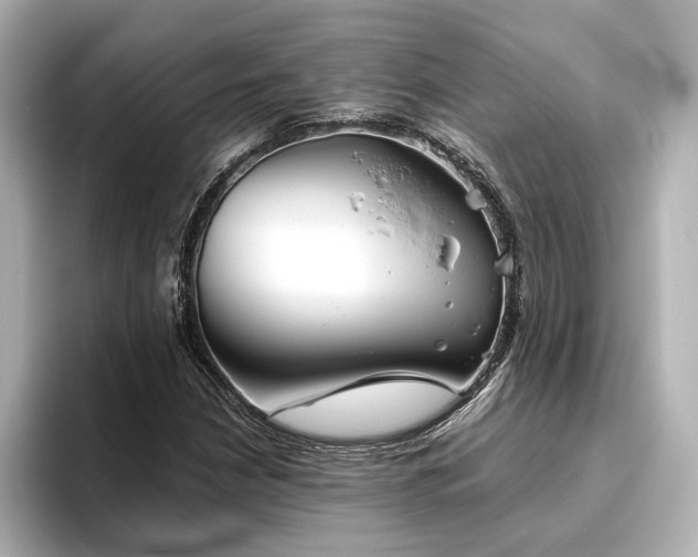 X0000096451210200801241412