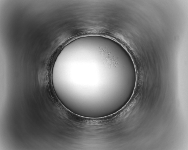 X0000096451211200801241412