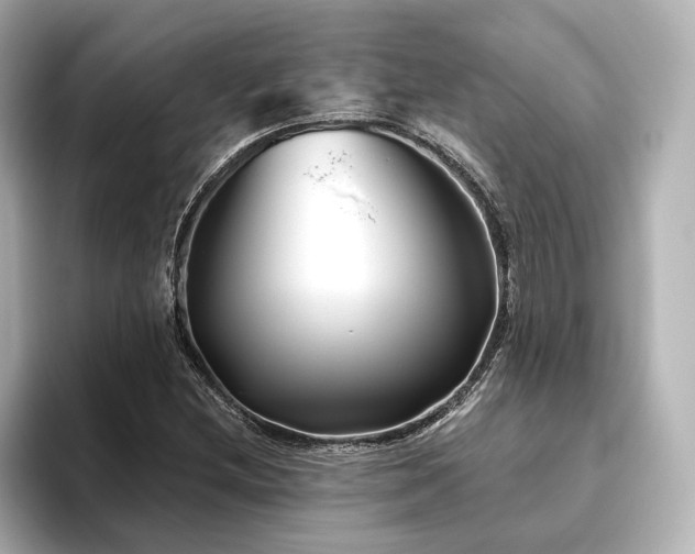 X0000096451212200801241412