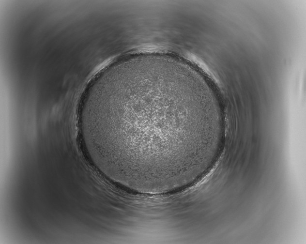X0000096451213200801241412