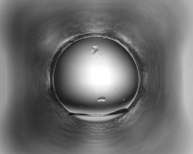 X0000096451214200801241412
