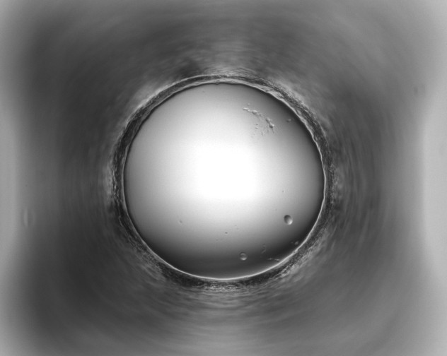 X0000096451215200801241412