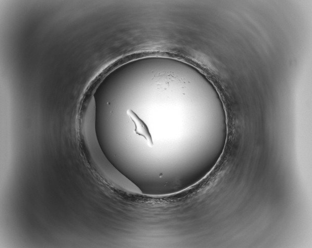 X0000096451216200801241412