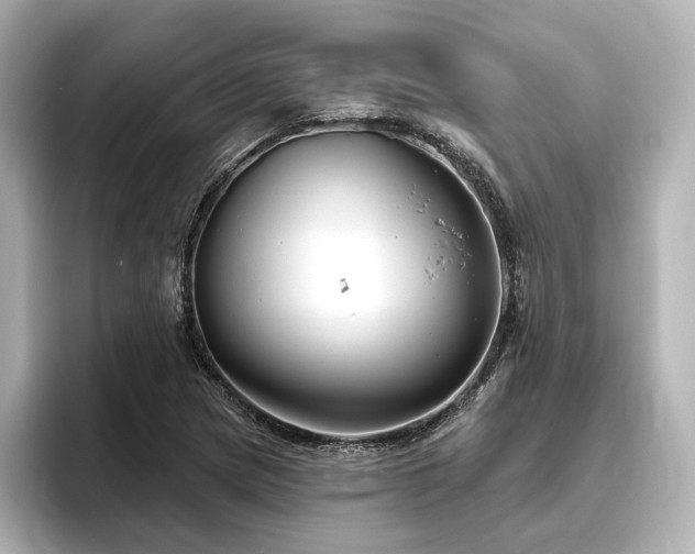 X0000096451217200801241412