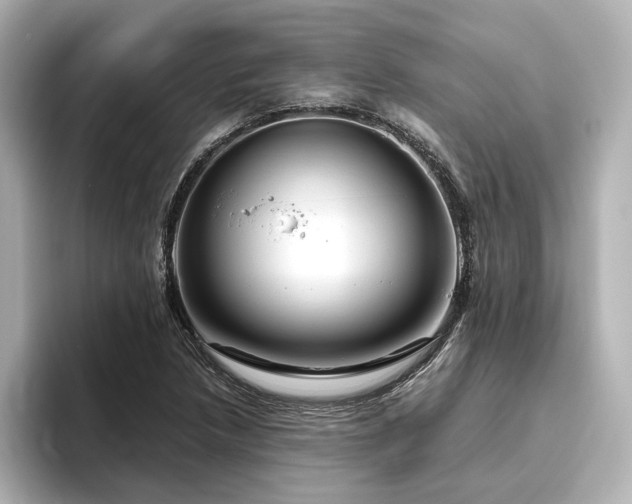 X0000096451218200801241412