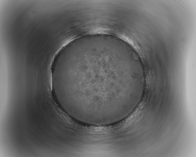 X0000096451219200801241412