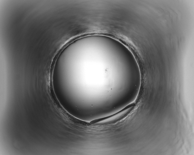 X0000096451220200801241412