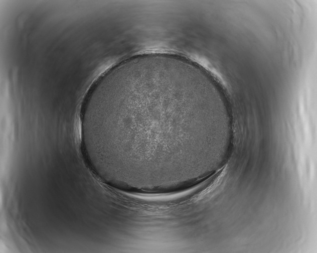 X0000096451221200801241412