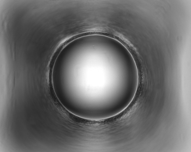 X0000096451222200801241412