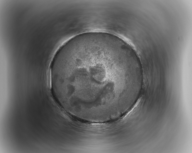 X0000096451223200801241412