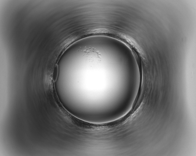 X0000096451225200801241412