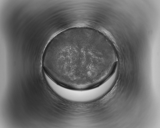 X0000096451226200801241412