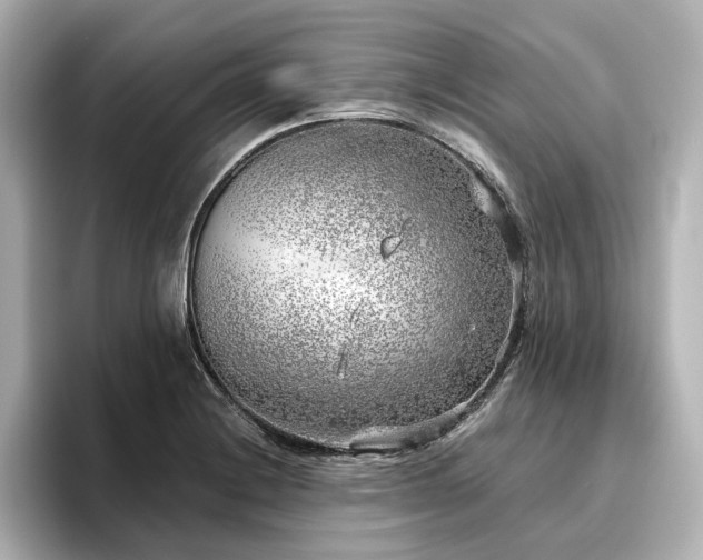 X0000096451228200801241412