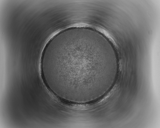 X0000096451229200801241412