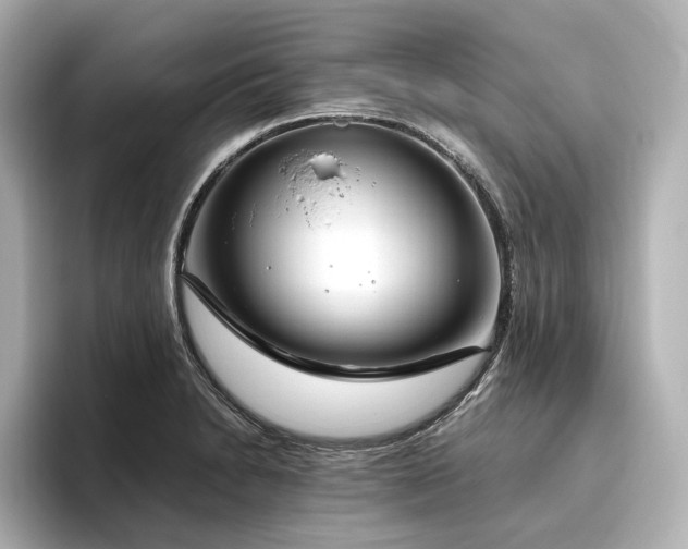 X0000096451230200801241412