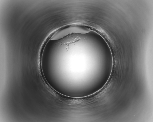 X0000096451232200801241412