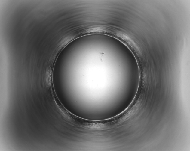 X0000096451233200801241412