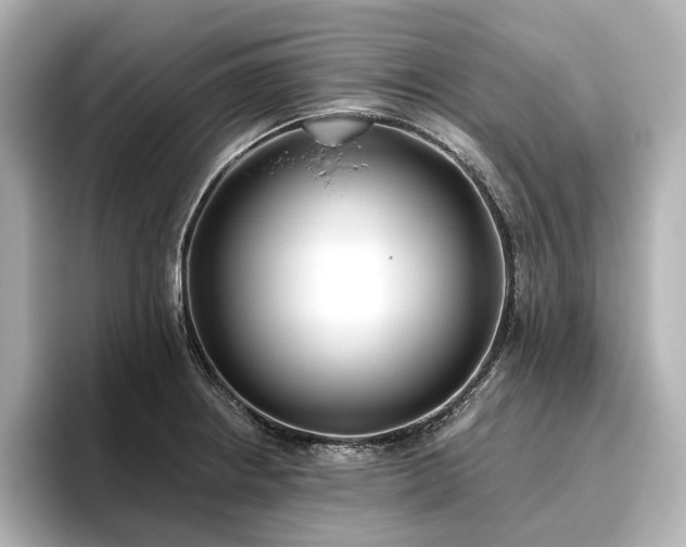 X0000096451234200801241412