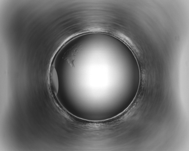 X0000096451236200801241412
