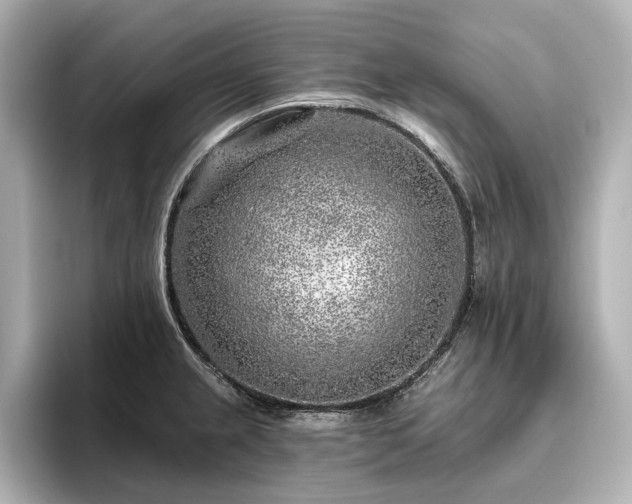 X0000096451237200801241412
