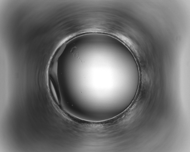 X0000096451238200801241412