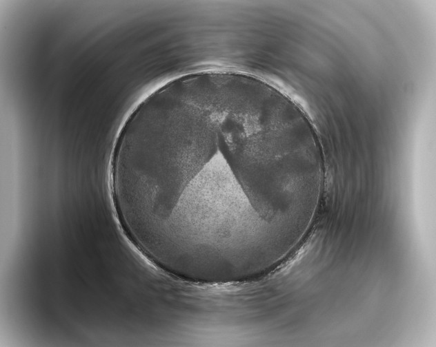 X0000096451239200801241412