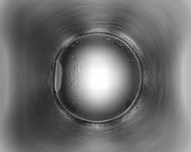 X0000096451241200801241412
