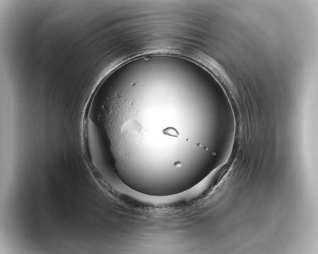 X0000096451242200801241412